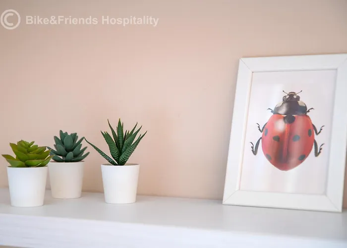 Apartman Casa Flowers